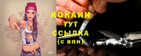 spice Аркадак