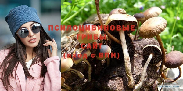 jwh Арсеньев