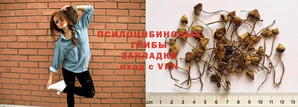 jwh Арсеньев