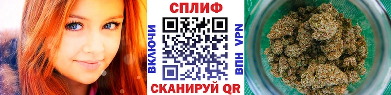 Каннабис планчик  Усть-Джегута 